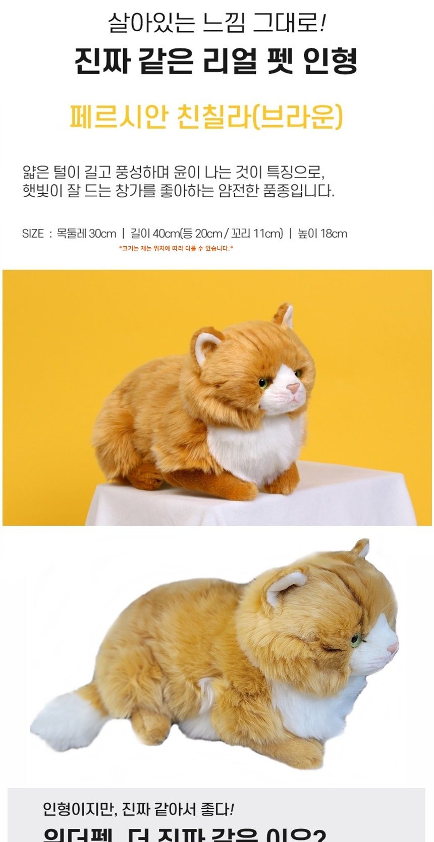 위더펫 인형 냥이 브라운 고양이인형 동물인형 봉제인형 인형 디자인인형 캐릭터봉제인형 놀이인형 캐릭터인형 인형장난감 장난감인형 애착인형