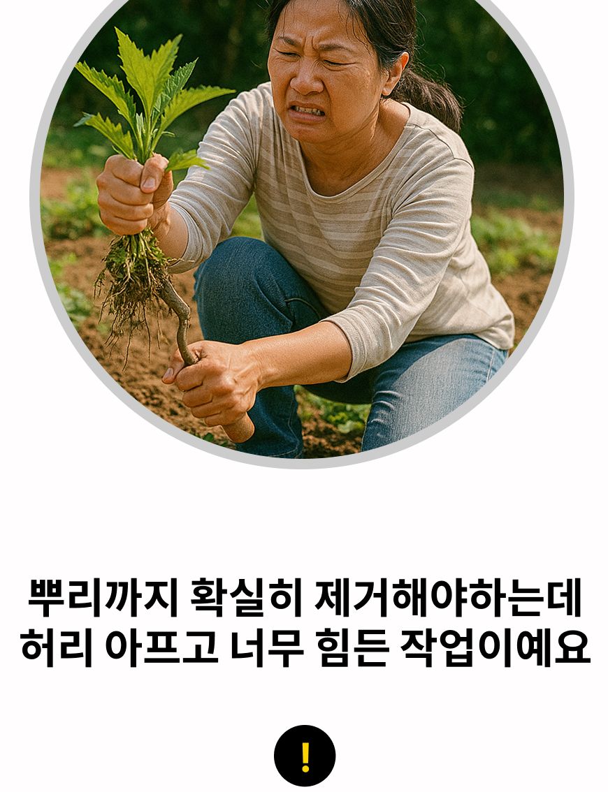 잡초 제거 스텐 호미 농기구 호미 원예용호미 손잡이호미 스틱호미 잡초제거스틱 스텐호미