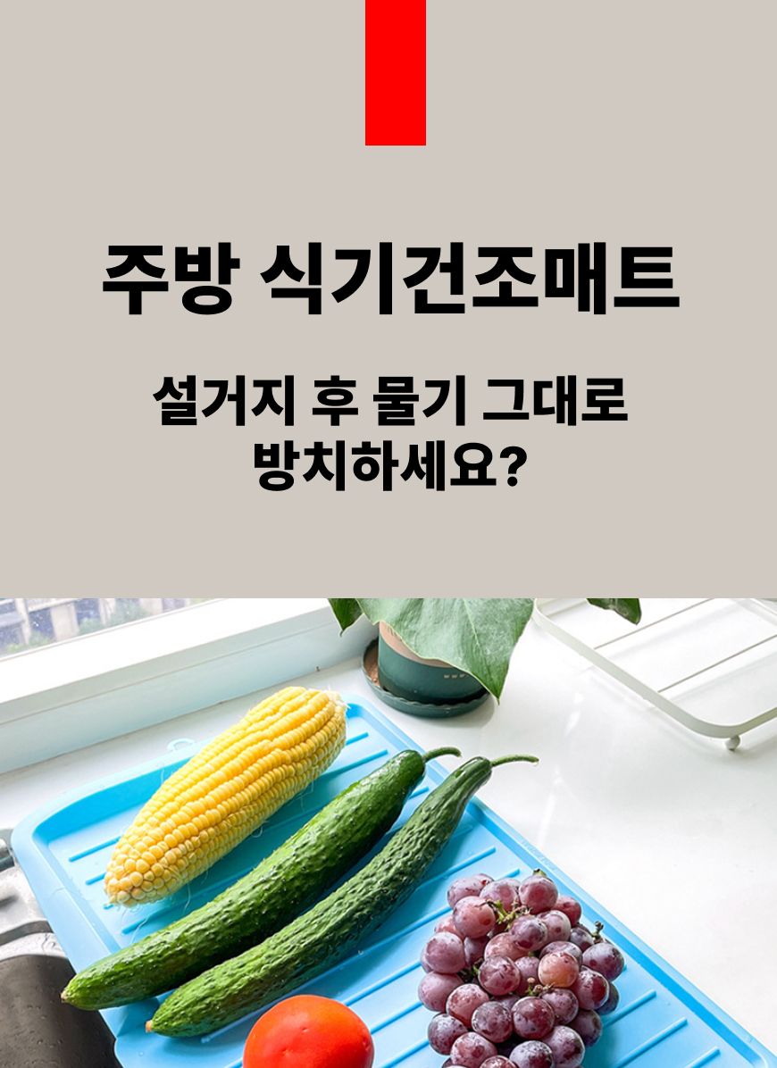접이식 식기 건조대 폴딩그릇건조대 폴딩식기건조대 식기정리대 주방식기건조대 그릇정리대 그릇정리건조대 식기정리건조대
