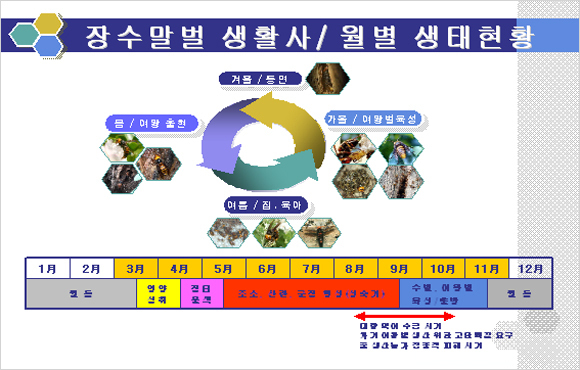 말벌포획기/말벌잡기/말벌잡이/말벌죽이기/말벌포획기/포획기/벌포획기/벌잡기/벌죽이기/벌잡는도구/벌킬러