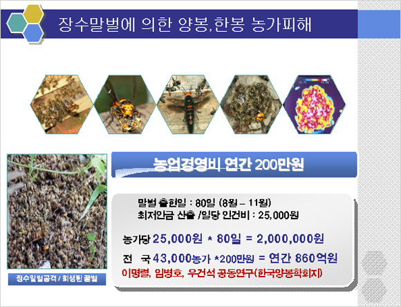말벌포획기/말벌잡기/말벌잡이/말벌죽이기/말벌포획기/포획기/벌포획기/벌잡기/벌죽이기/벌잡는도구/벌킬러