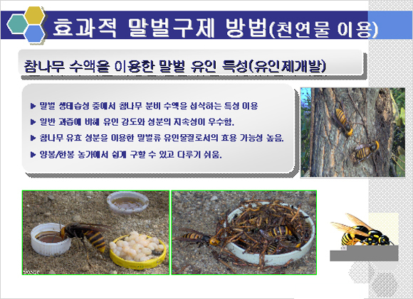 말벌포획기/말벌잡기/말벌잡이/말벌죽이기/말벌포획기/포획기/벌포획기/벌잡기/벌죽이기/벌잡는도구/벌킬러