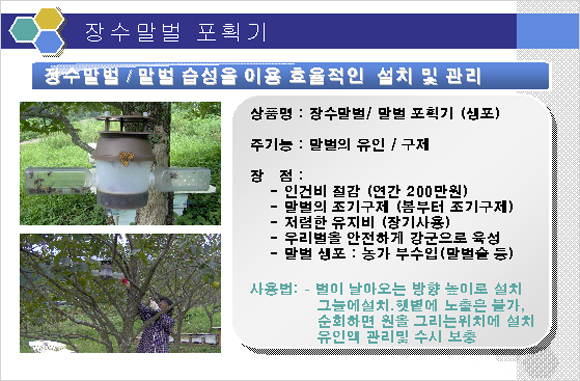 말벌포획기/말벌잡기/말벌잡이/말벌죽이기/말벌포획기/포획기/벌포획기/벌잡기/벌죽이기/벌잡는도구/벌킬러