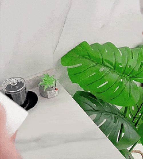 미용실 미세 안개스프레이 물 분무기 300ml 분사건 헤어분무기 화분분무기 안개분사분무기 안개분사물뿌리개 가정분무기 가정용분무기 물뿌리개 물뿌리기 미용분무기 분무기 분사기
