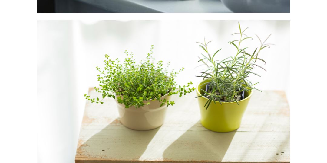 블랙 원형 거름망 4.5cm 100개입/화분거름망/화분바닥망/화분구멍망/화분물빠짐그물/화분물빠짐망/화분원형