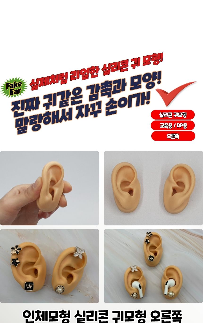인체 모형 실리콘 귀모형 오른쪽/모형/귀모형/인체귀모형/사람귀모형/실리콘모형/실리콘귀모형/실리콘인체
