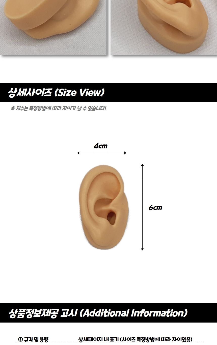 인체 모형 실리콘 귀모형 오른쪽/모형/귀모형/인체귀모형/사람귀모형/실리콘모형/실리콘귀모형/실리콘인체