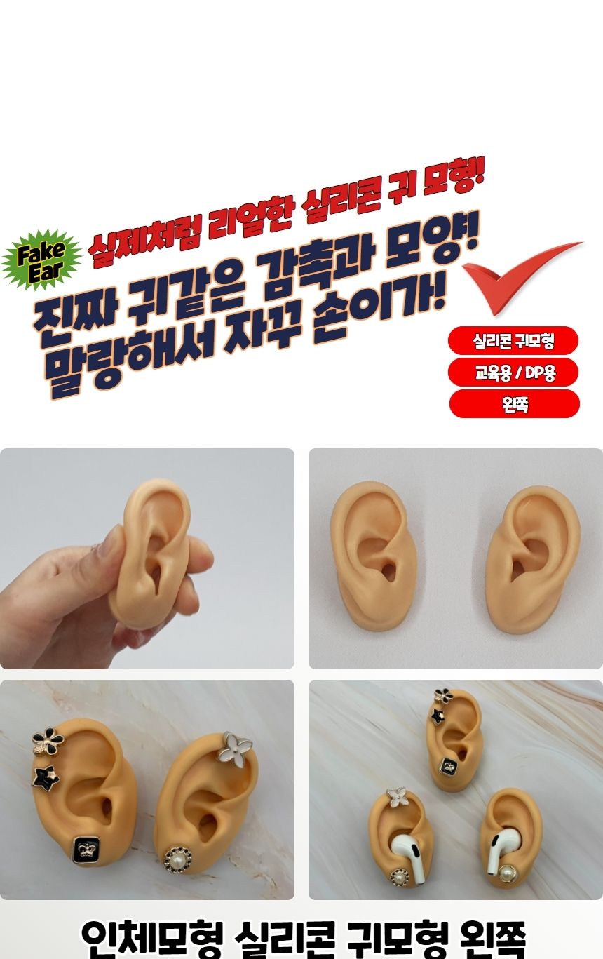 인체모형 실리콘 귀모형 왼쪽/모형/귀모형/인체귀모형/사람귀모형/실리콘모형/실리콘귀모형/실리콘인체귀모