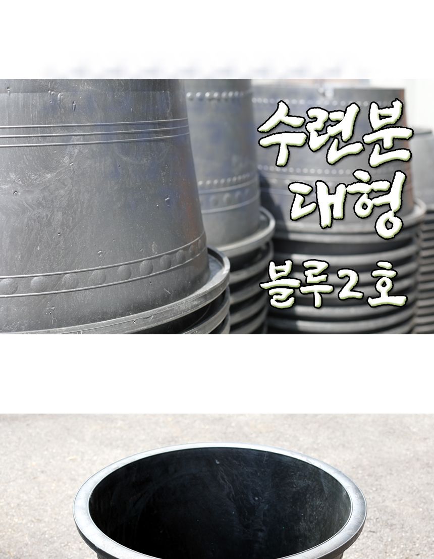 블루 수련 분대형 2호 장식화분 디자인화분 실내화분 수련분화분 식물화분 화분 인테리어화분 소품화분 정원화분 꾸미기화분