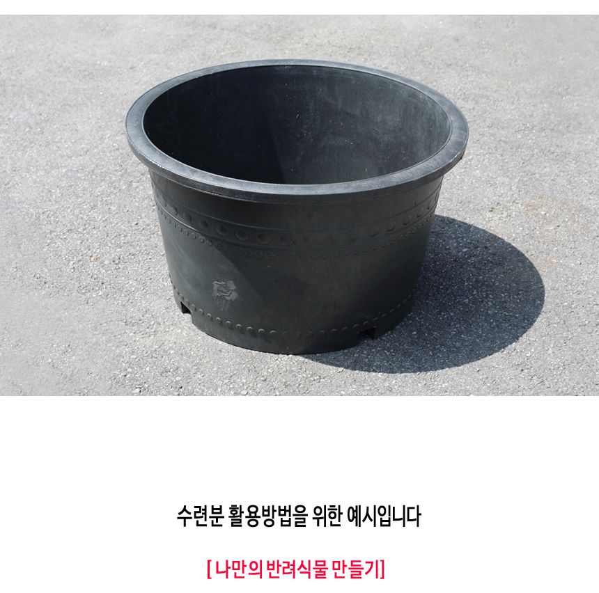 블루 수련 분대형 2호 장식화분 디자인화분 실내화분 수련분화분 식물화분 화분 인테리어화분 소품화분 정원화분 꾸미기화분