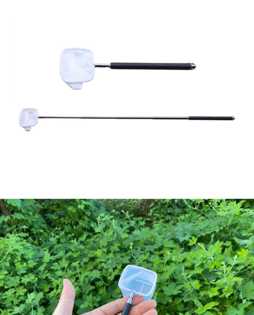 안테나 새우 구피 어항뜰채 열대어뜰채/뜰채/어항뜰채/수조뜰채/수족관뜰채/물고기뜰채/열대어뜰채/새우뜰