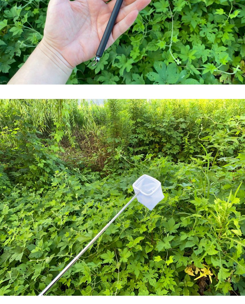 안테나 새우 구피 어항뜰채 열대어뜰채/뜰채/어항뜰채/수조뜰채/수족관뜰채/물고기뜰채/열대어뜰채/새우뜰
