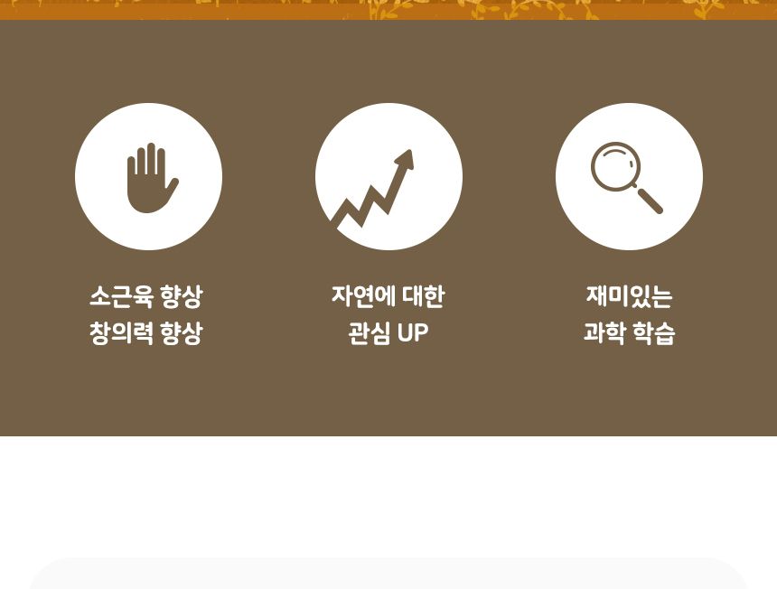 종이 잠자리 날개 만들기 종이잠자리날개꾸미기 잠자리날개꾸미기 종이잠자리날개만들기 잠자리날개만들기 종이잠자리날개 잠자리날개 미술놀이 공작놀이 공작장난감 미술장난감