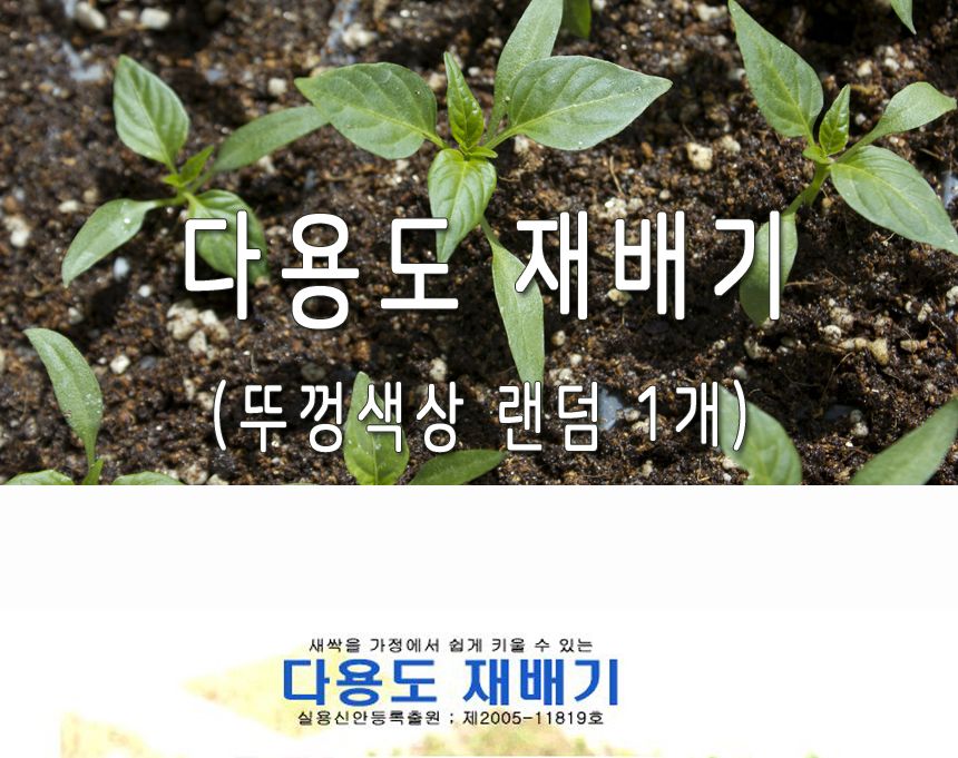 새싹 재배 용기/새싹재배용기/새싹/새싹키우기/새싹재배기/새싹재배/재배기/씨앗키우기/씨앗재배/원예/식물