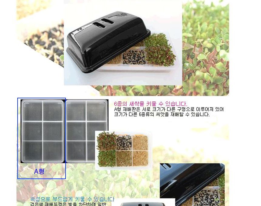 새싹 재배 용기/새싹재배용기/새싹/새싹키우기/새싹재배기/새싹재배/재배기/씨앗키우기/씨앗재배/원예/식물