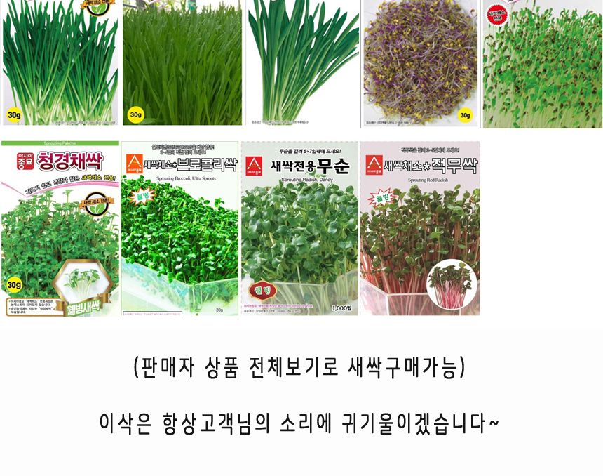 새싹 재배 용기/새싹재배용기/새싹/새싹키우기/새싹재배기/새싹재배/재배기/씨앗키우기/씨앗재배/원예/식물