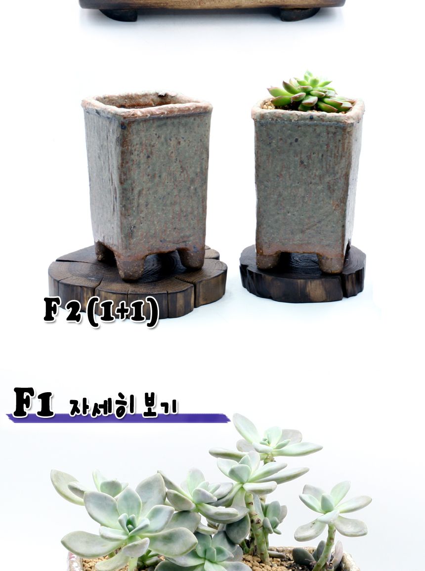 도자기 F 1 감성도자기 국내산 기품있는도자기화분/화분/도자기화분/인테리어화분/거실화분/베란다화분/집