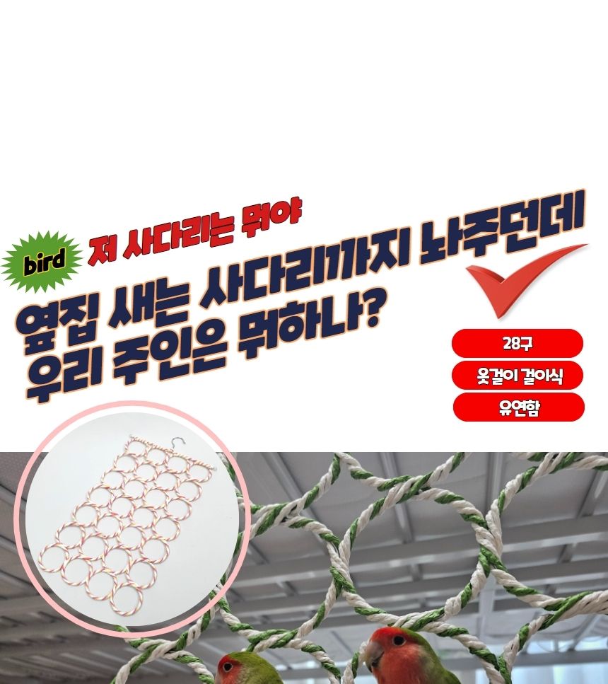 앵무새 장난감 28구 그물 사다리 버드링/장난감/새장난감/조류장난감/새놀이/놀이장난감/조류놀이/앵무새장