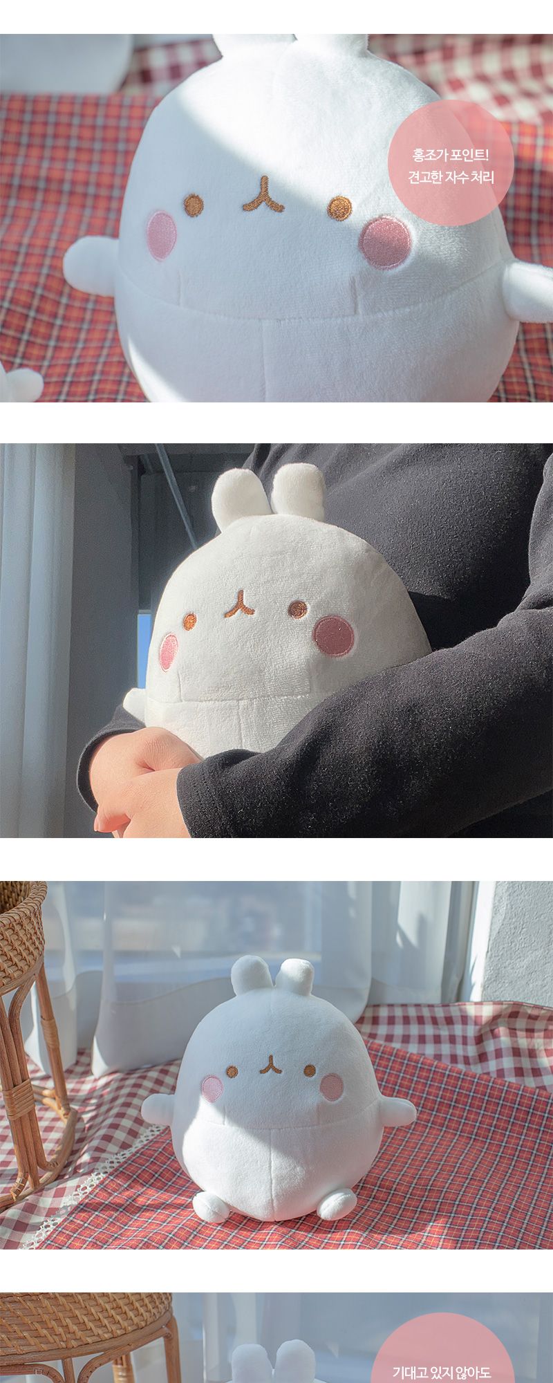 몰랑 기본 인형 20cm/몰랑이/몰랑이인형/몰랑이애착인형/몰랑이봉제인형/캐릭터인형/캐릭터봉제인형/모형인