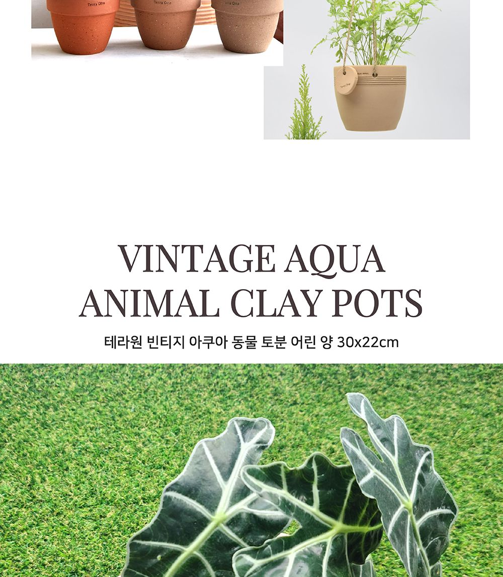 테라원 빈티지 아쿠아 동물 토분 어린 양 30x22cm/인테리어화분/깔끔한화분/거실화분인테리어/개업축하화분