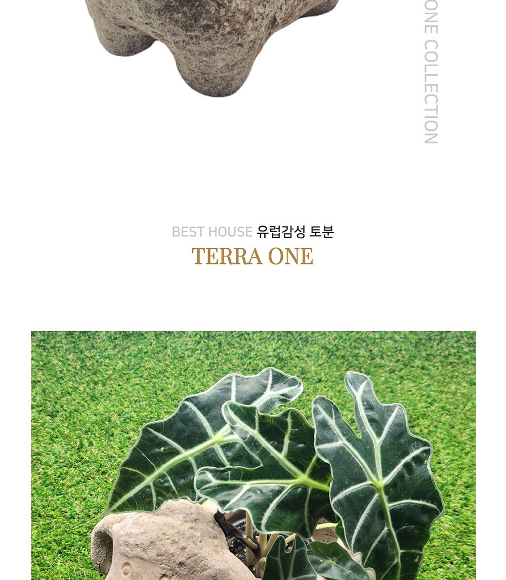 테라원 빈티지 아쿠아 동물 토분 어린 양 30x22cm/인테리어화분/깔끔한화분/거실화분인테리어/개업축하화분