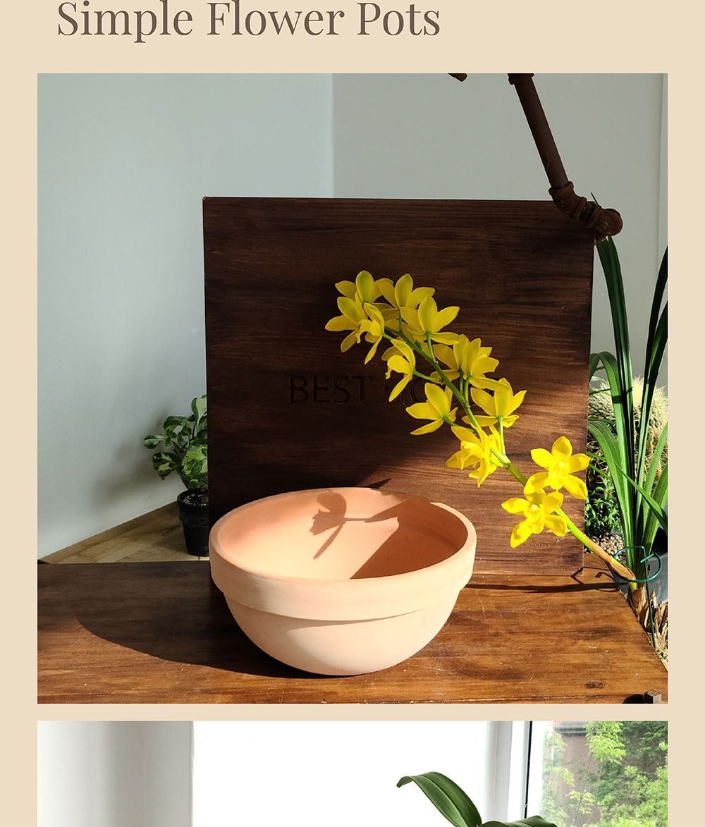 베트남 토분 정반원 20x9cm 살구색 인테리어화분 깔끔한화분 거실화분인테리어 개업축하화분 식물키우기 반려식물 토분 거실화분 홈가드닝 가정용화분 매장화분