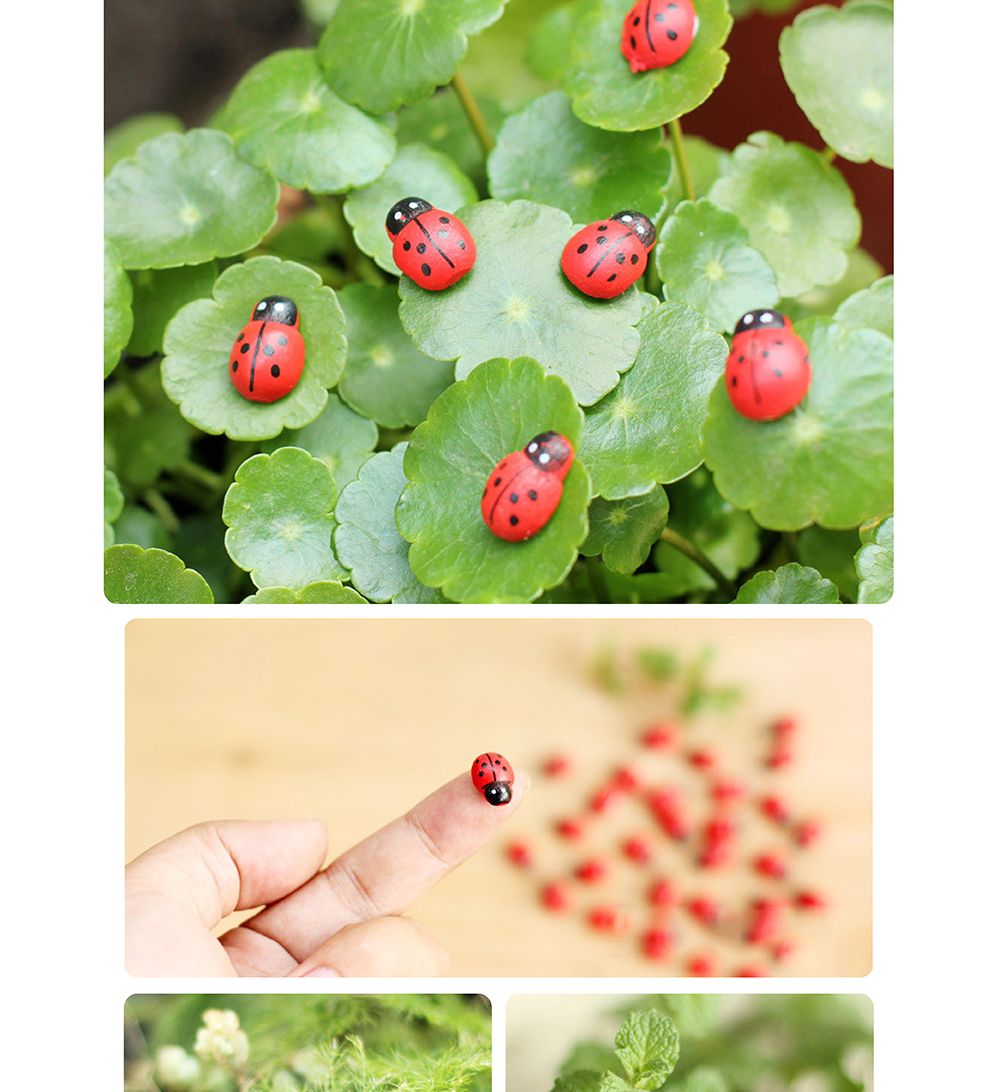 (대 30개셋트) 화분 데코 테라리움 장식 소품 무당벌레/테라리엄/화분데코/화분장식/화분장식소품/화분인테