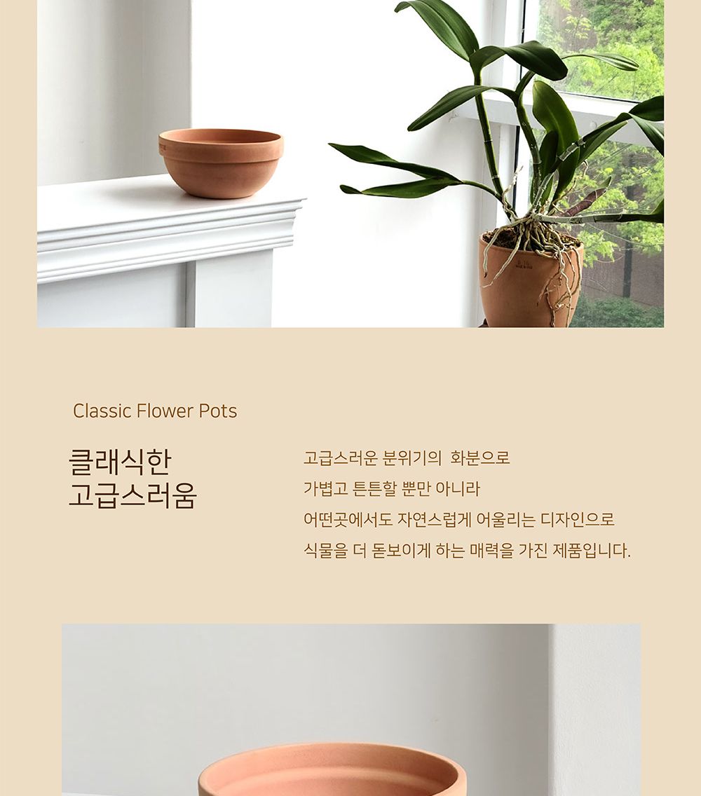 베트남 토분 정반원 23x10cm 살구색 화분+R19받침/화분/토분/빈티지화분/빈티지토분/식물화분/꽃화분/모정