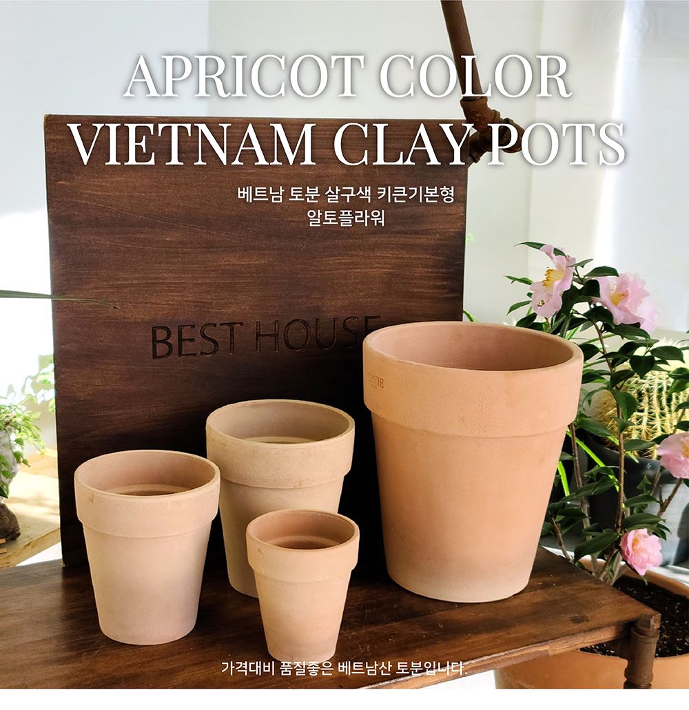 베트남 토분 살구색 키큰기본형 알토플라워 24x27cm/화분/토분/빈티지화분/빈티지토분/식물화분/꽃화분/모