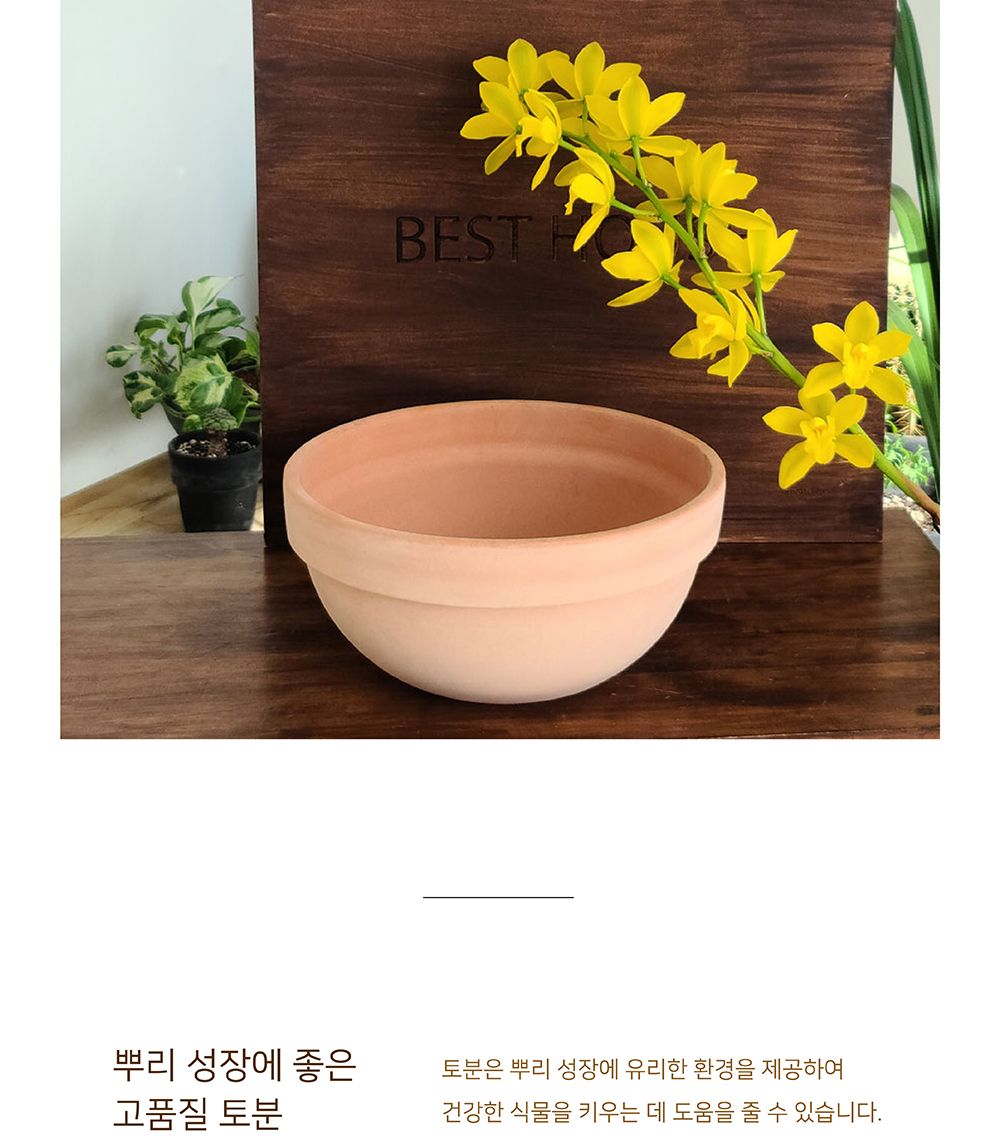 베트남 토분 정반원 23x10cm 살구색/화분/토분/빈티지화분/빈티지토분/식물화분/꽃화분/모정화분/베란다화