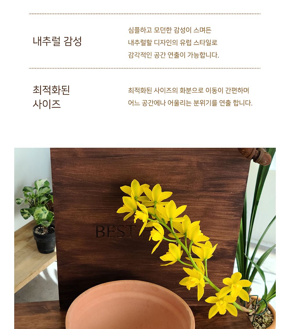 베트남 토분 정반원 23x10cm 살구색/화분/토분/빈티지화분/빈티지토분/식물화분/꽃화분/모정화분/베란다화