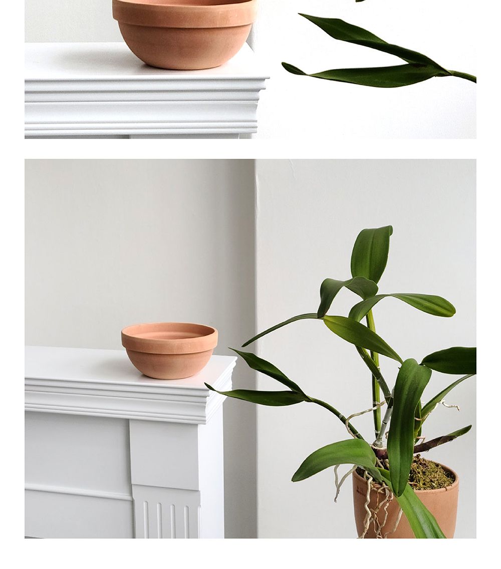 베트남 토분 정반원 23x10cm 살구색/화분/토분/빈티지화분/빈티지토분/식물화분/꽃화분/모정화분/베란다화