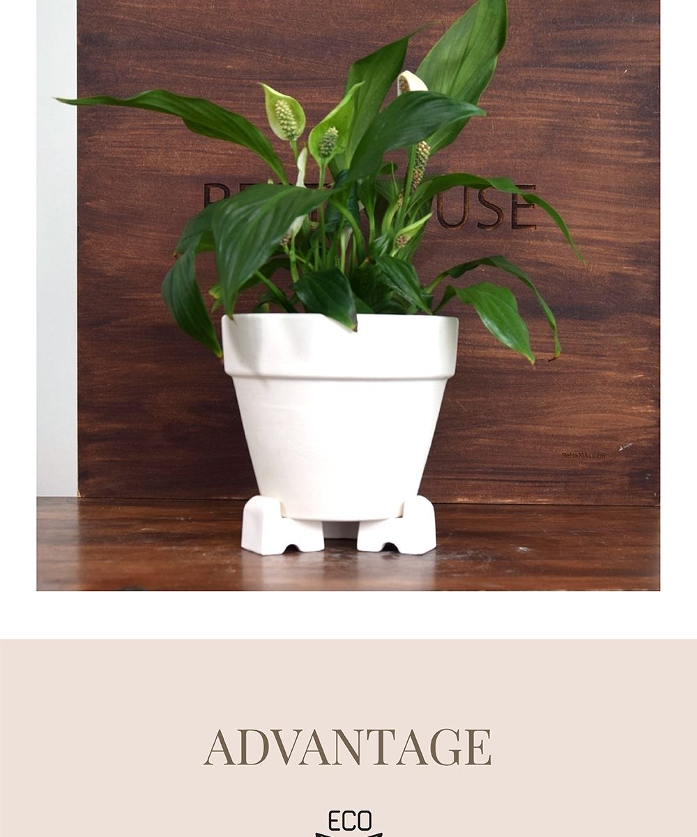 (아레나(살구색)) 더플라워포터리 토분받침 블럭 4.5x3x3.5cm (3개셋트)/토분받침/토분받침대/원형화분받침