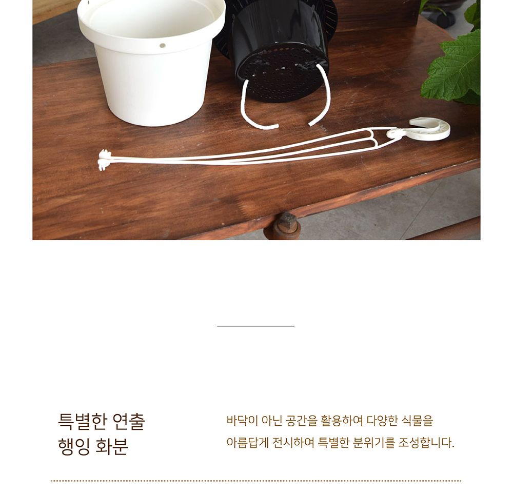 저면관수형 행잉 플라스틱 화분 BH19 19x14cm/화분/정원용품/홈가드닝용품/가드닝용품/가정용화분/식물화분