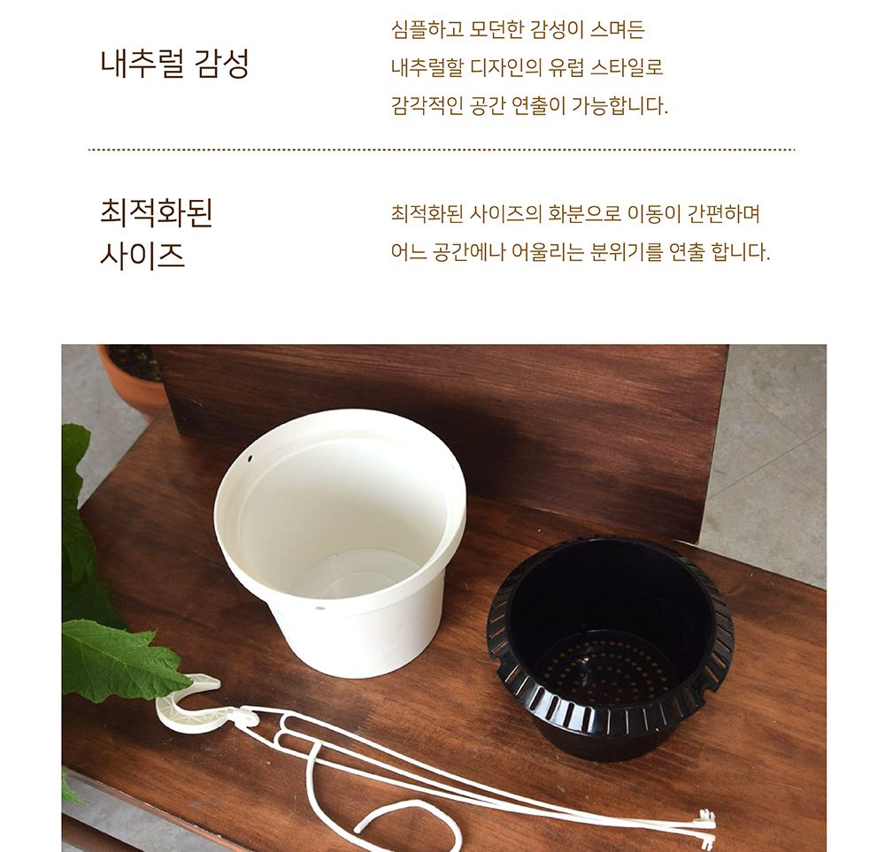 저면관수형 행잉 플라스틱 화분 BH19 19x14cm/화분/정원용품/홈가드닝용품/가드닝용품/가정용화분/식물화분