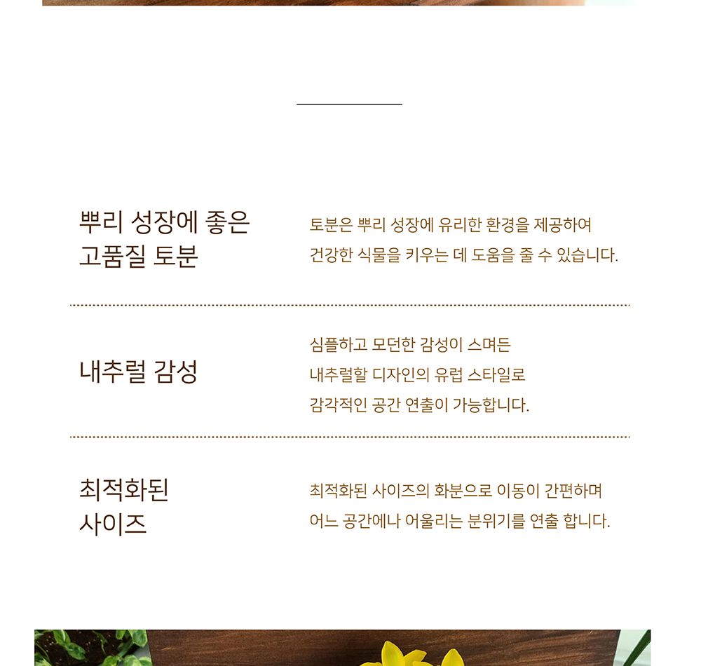 (화분만) 베트남 토분 그레이프(포도) 25x18cm 살구색/화분/흙화분/토분/토분세트/화분세트/인테리어화분/