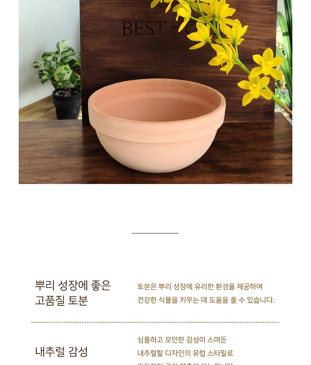 (화분만) 베트남 토분 정반원 30x14cm 살구색/화분/흙화분/토분/예쁜화분/디자인화분/인테리어화분/인테리