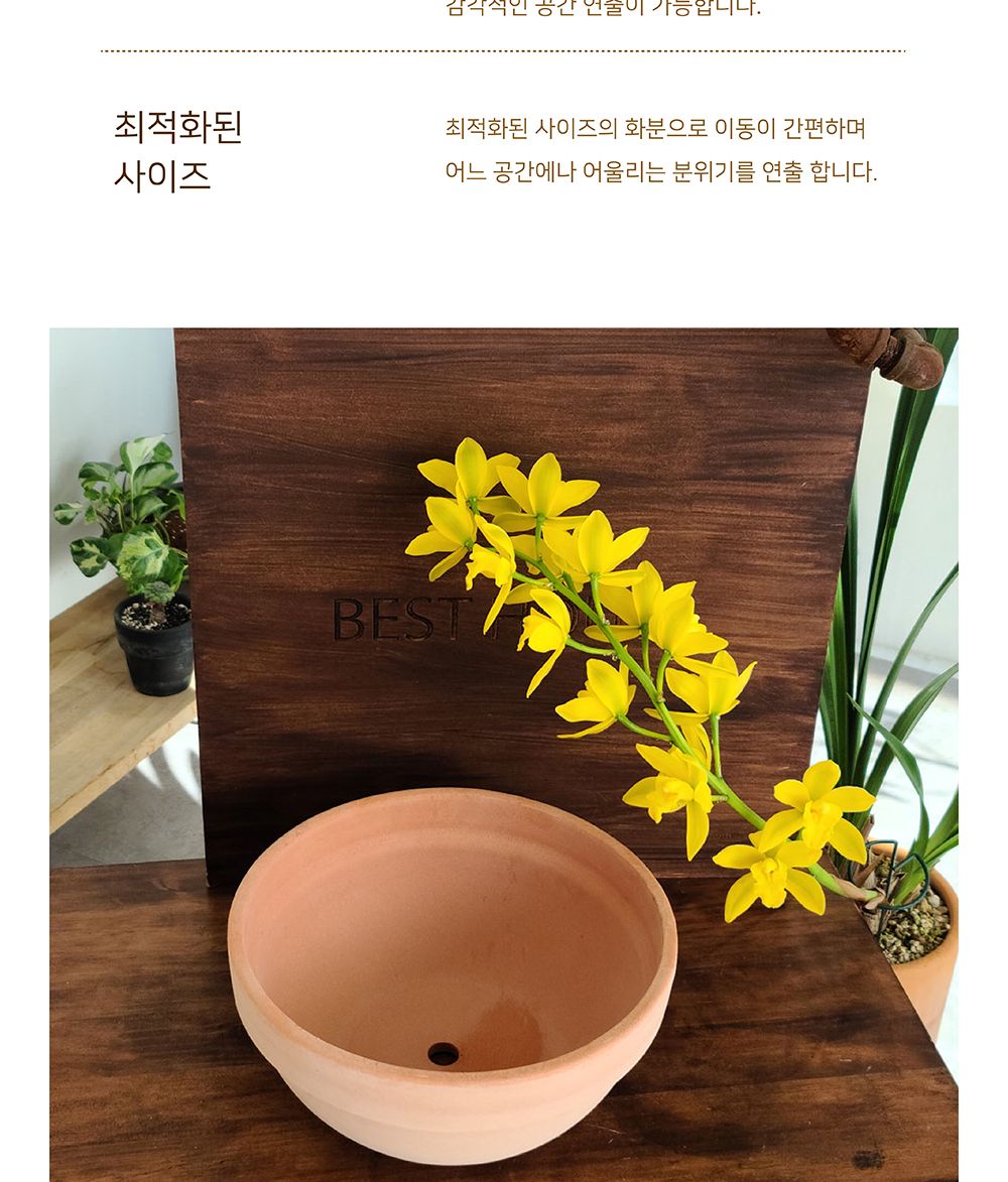 (화분만) 베트남 토분 정반원 30x14cm 살구색/화분/흙화분/토분/예쁜화분/디자인화분/인테리어화분/인테리