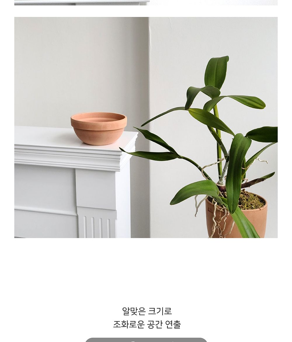 (화분만) 베트남 토분 정반원 30x14cm 살구색/화분/흙화분/토분/예쁜화분/디자인화분/인테리어화분/인테리