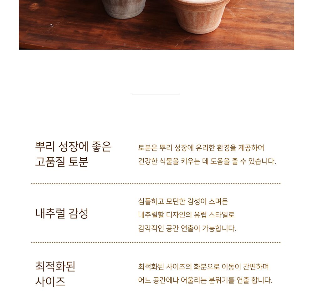 (아레나) 이탈리아토분.러프스크래치 볼케이노 21x13cm/화분/흙화분/토분/예쁜화분/디자인화분/인테리어화