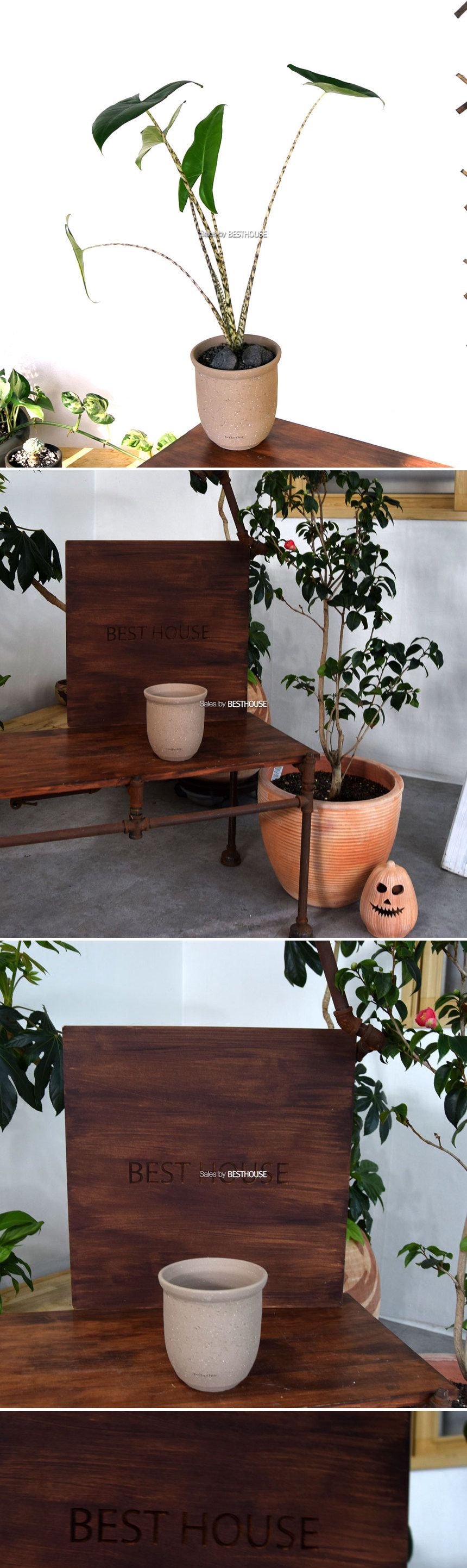 (받침 추가 R14) 테라원 수제토분 N107 15x16cm 에단그레이 트럼펫/화분/흙화분/토분/예쁜화분/디자인화분/