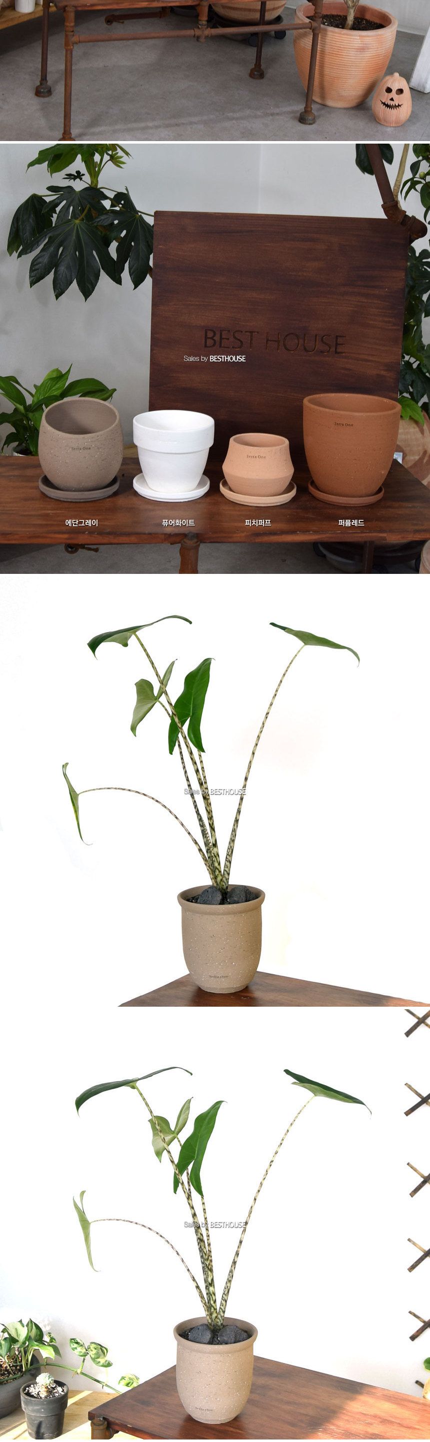 (받침 추가 R14) 테라원 수제토분 N107 15x16cm 에단그레이 트럼펫/화분/흙화분/토분/예쁜화분/디자인화분/