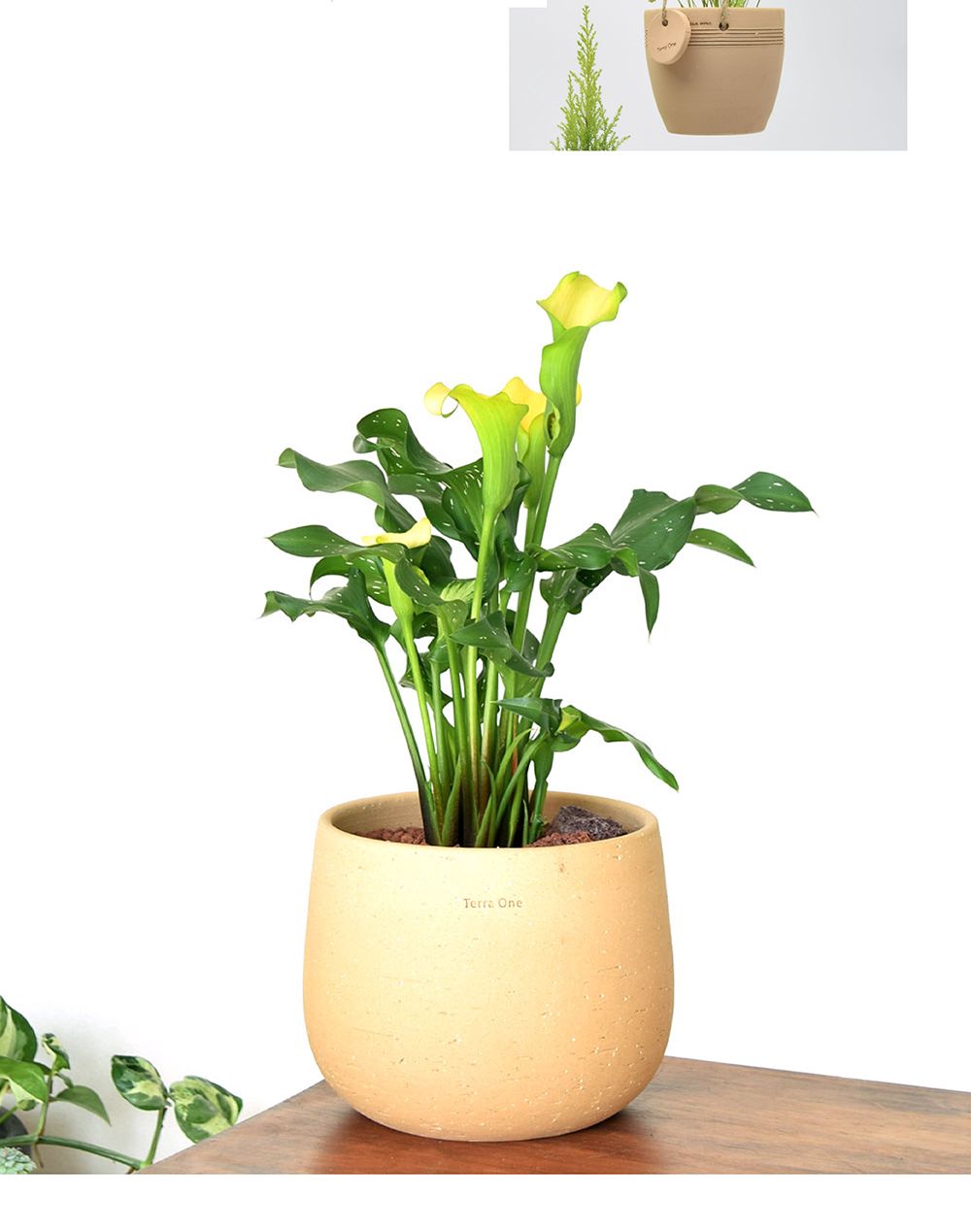 테라원 수제토분 N104 20x17cm 피치퍼프 미분형/화분/흙화분/토분/예쁜화분/디자인화분/인테리어화분/인테