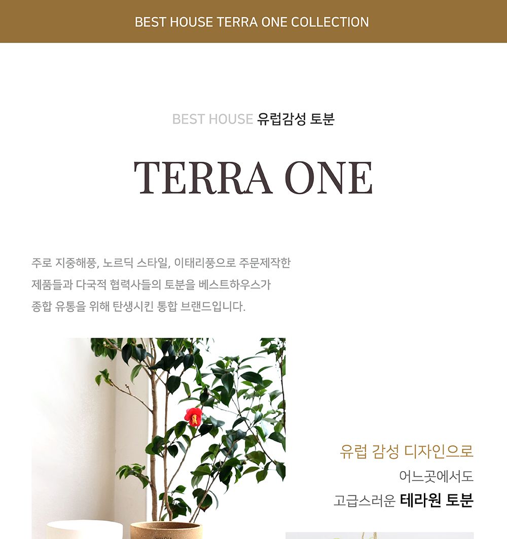 베트남 토분 테라원 루나(볼) D13 13x11cm/화분/토분/인테리어/인테리어화분/인테리어토분/분갈이/분갈이화