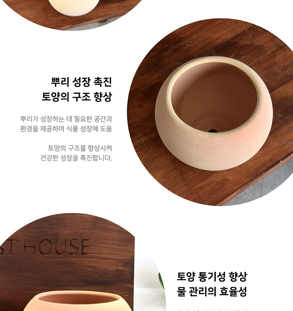 베트남 토분 테라원 루나(볼) D13 13x11cm/화분/토분/인테리어/인테리어화분/인테리어토분/분갈이/분갈이화