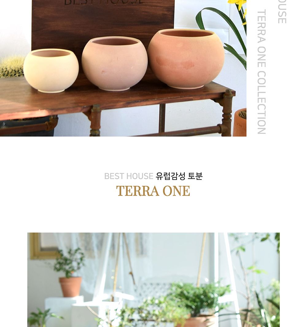베트남 토분 테라원 루나(볼) D13 13x11cm/화분/토분/인테리어/인테리어화분/인테리어토분/분갈이/분갈이화