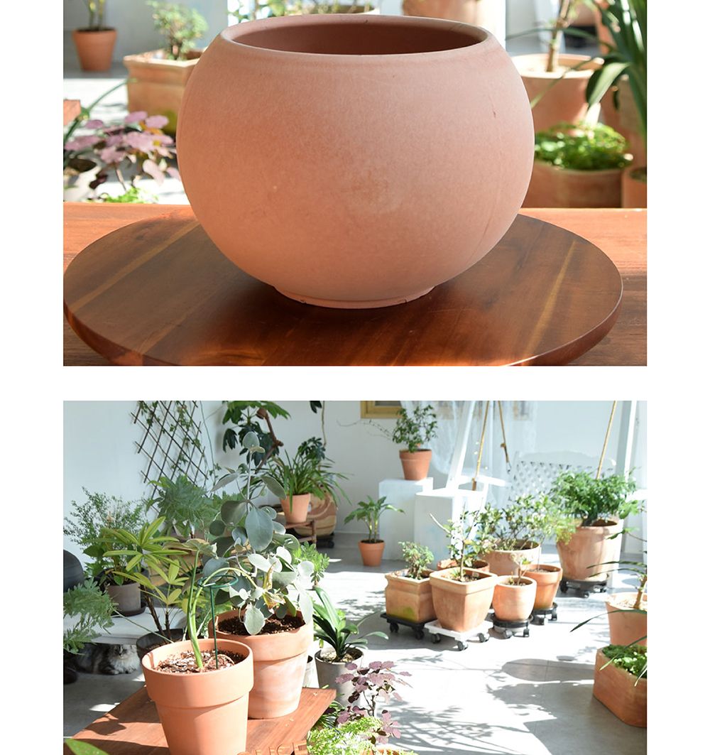 베트남 토분 테라원 루나(볼) D13 13x11cm/화분/토분/인테리어/인테리어화분/인테리어토분/분갈이/분갈이화