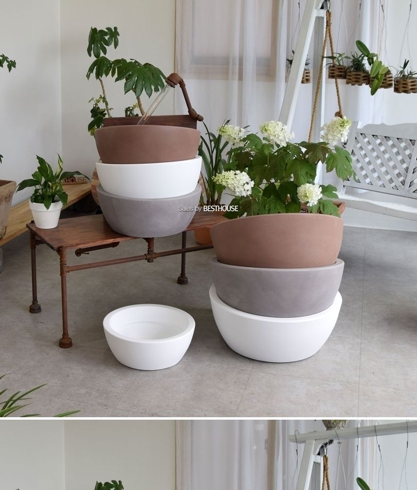 (R4250 50x20cm 브라운 물구멍o) 이탈리아 니콜리 넓은 분재형 R42/화분/정원용품/홈가드닝용품/분재화분/
