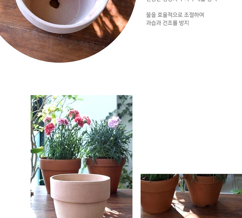 베트남 토분 테라원 팽이 D14 14x12cm 아레나/화분/흙화분/토분/예쁜화분/디자인화분/인테리어화분/인테리