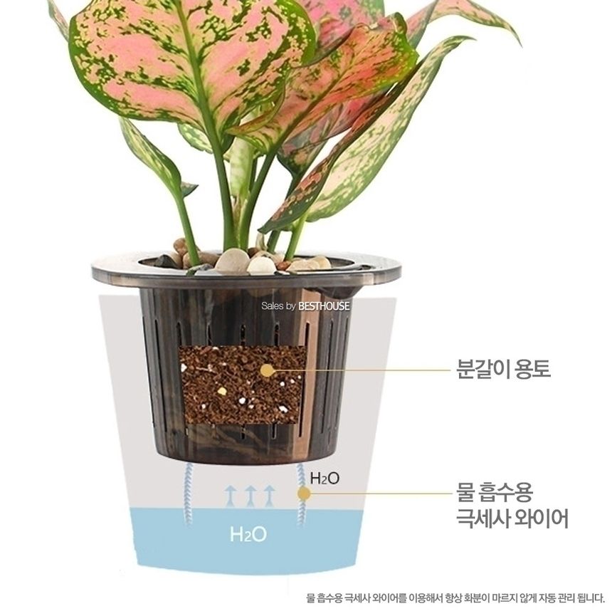 (D11 11x12cm) 클리어(투명) 저면관수 플라스틱 화분/화분/플라스틱화분/미니화분/원예용화분/가정용화분/